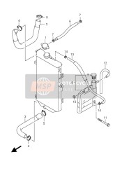 Radiator Hose